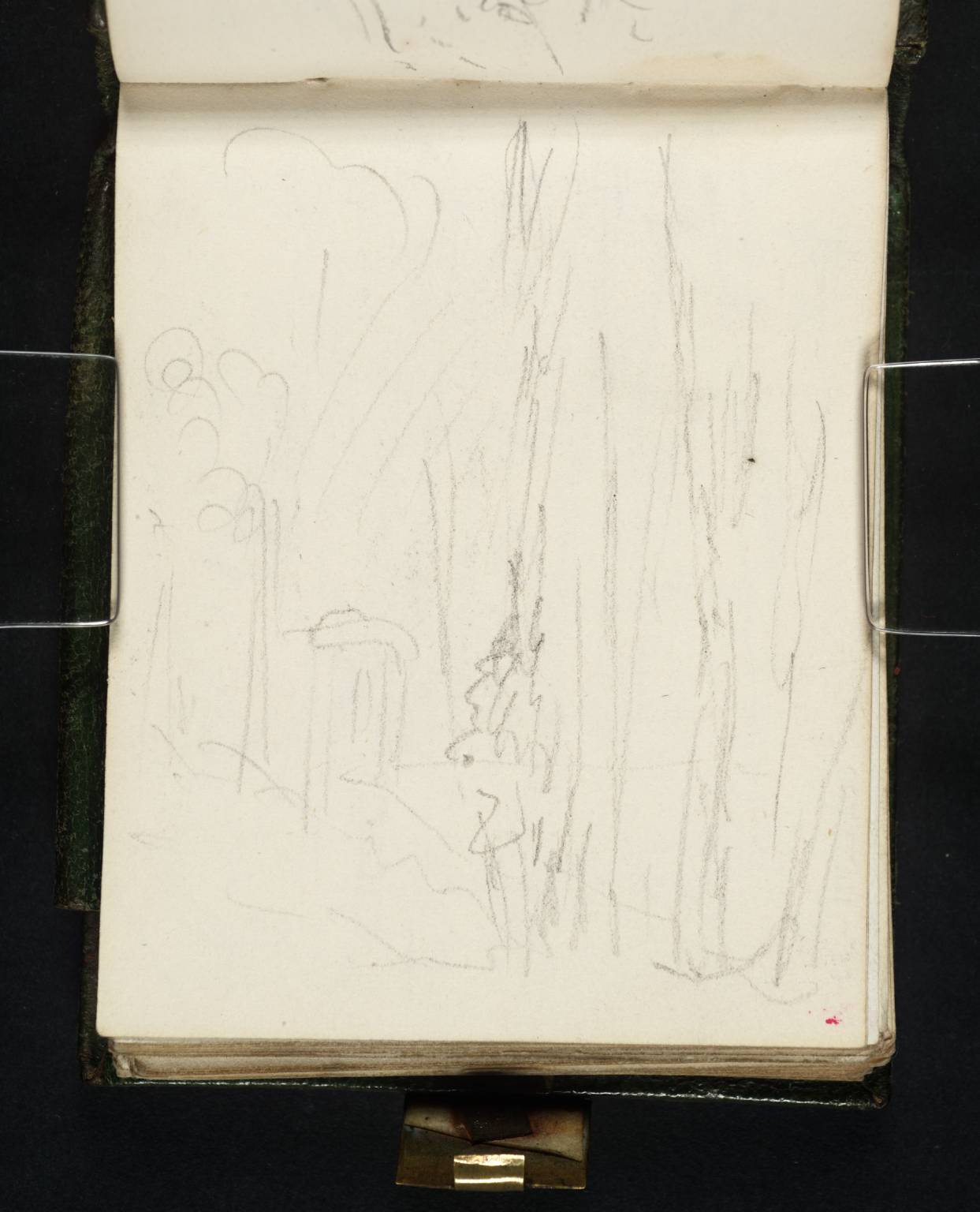 Trees, with Monument