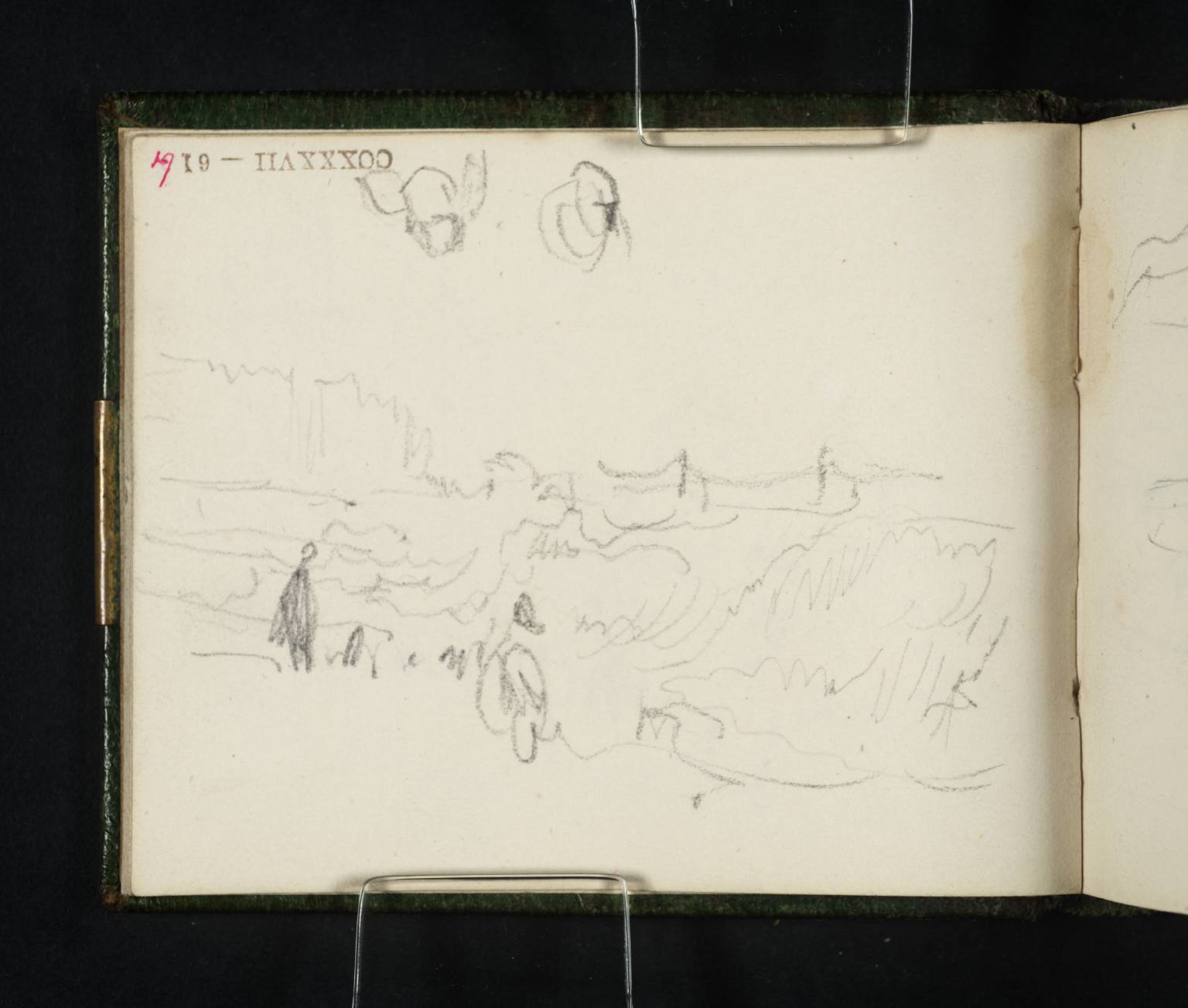 Sea Coast, with Cliffs