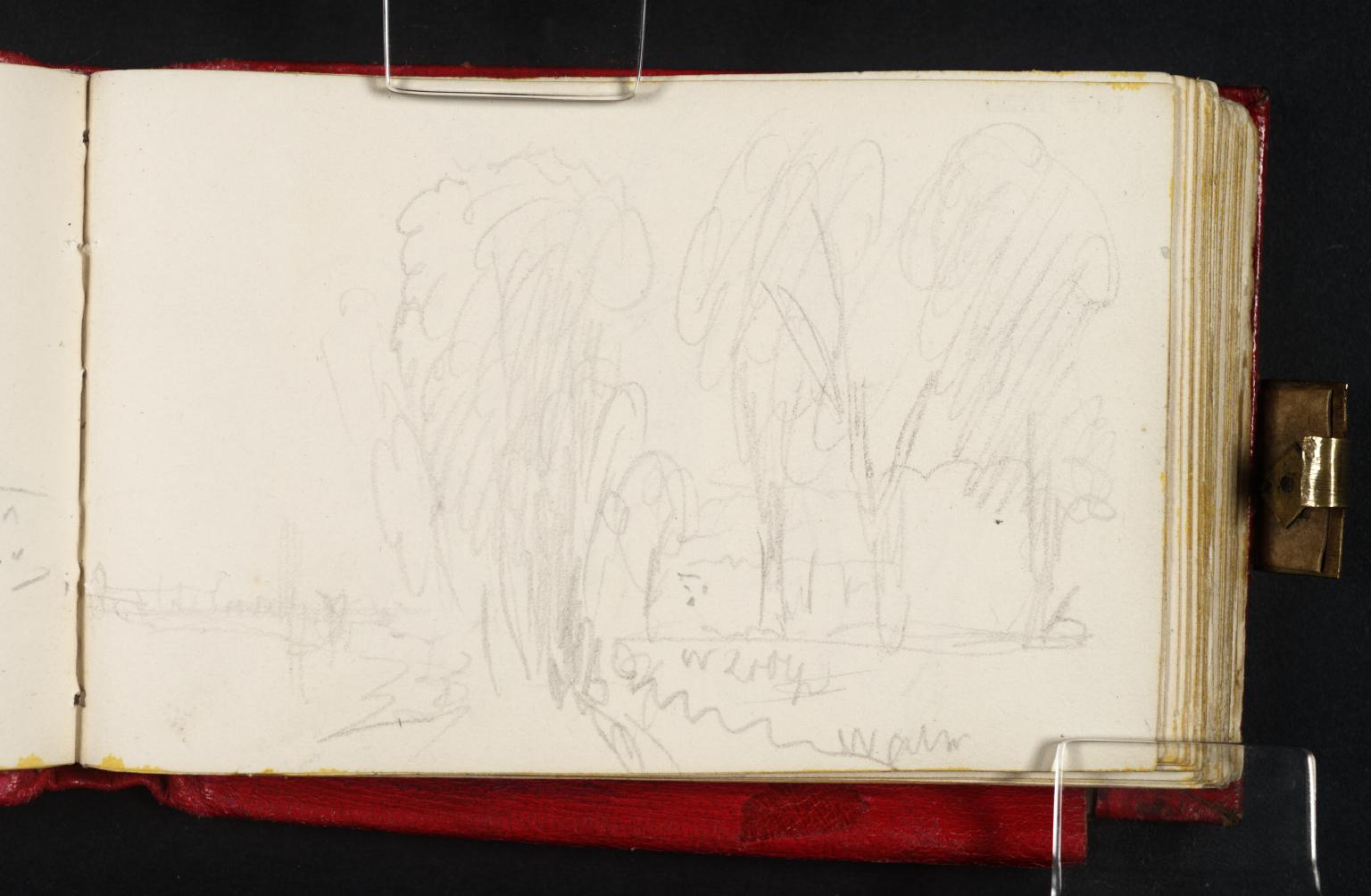 Trees by the River Thames, Possibly with Old Putney Bridge Beyond