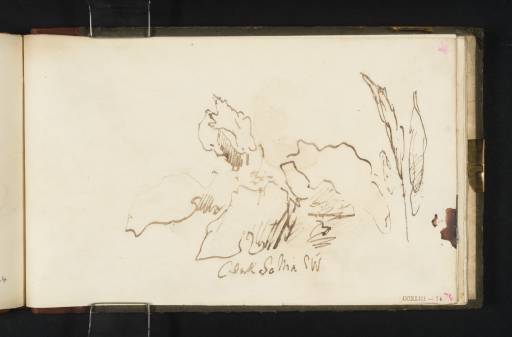 Joseph Mallord William Turner, ‘Leaves’ c.1827