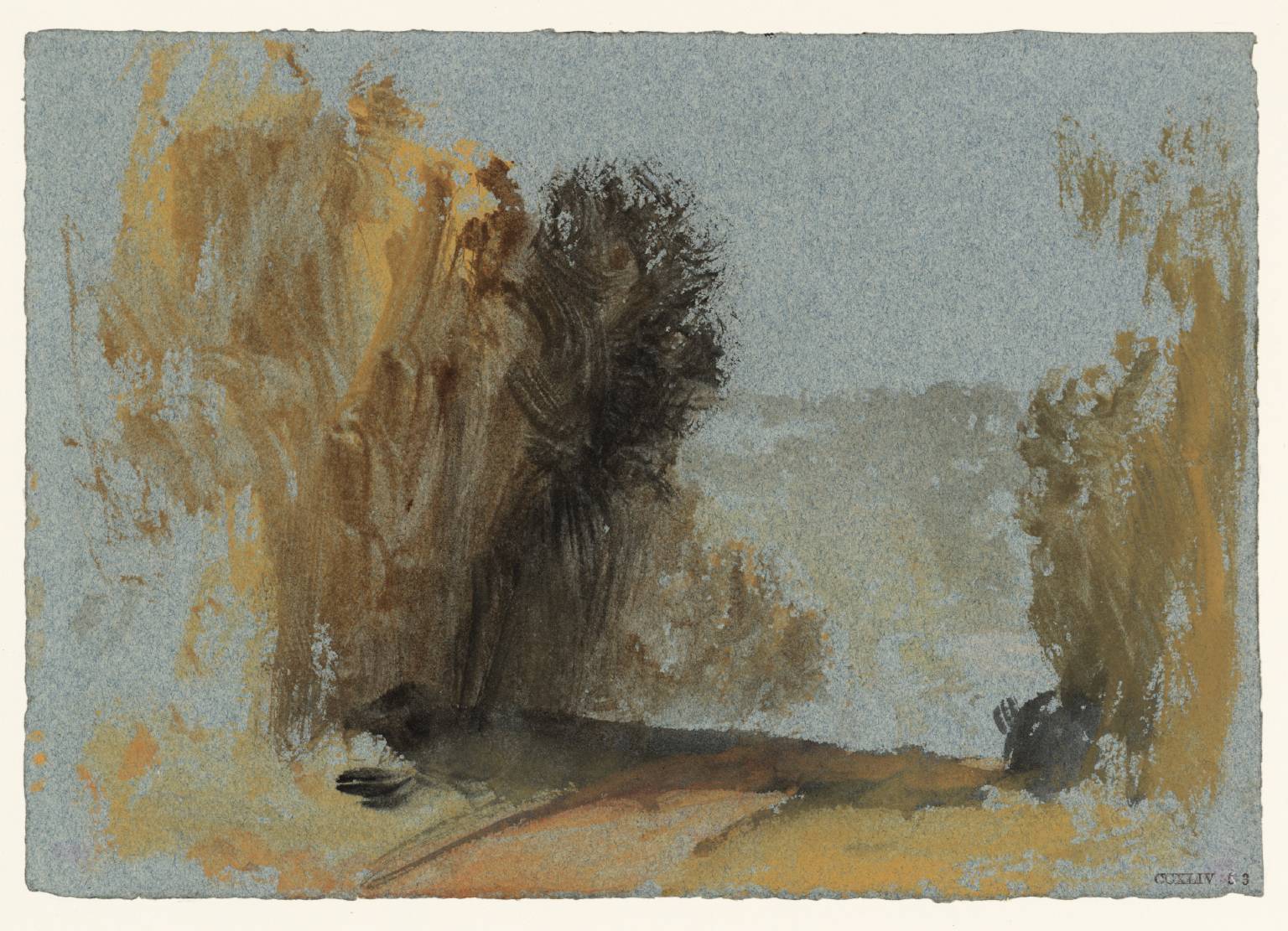 Roadway Bordered by Trees