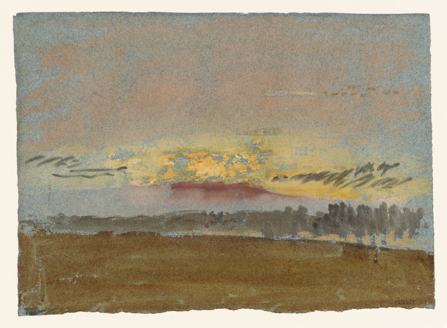 The Setting Sun over Petworth Park