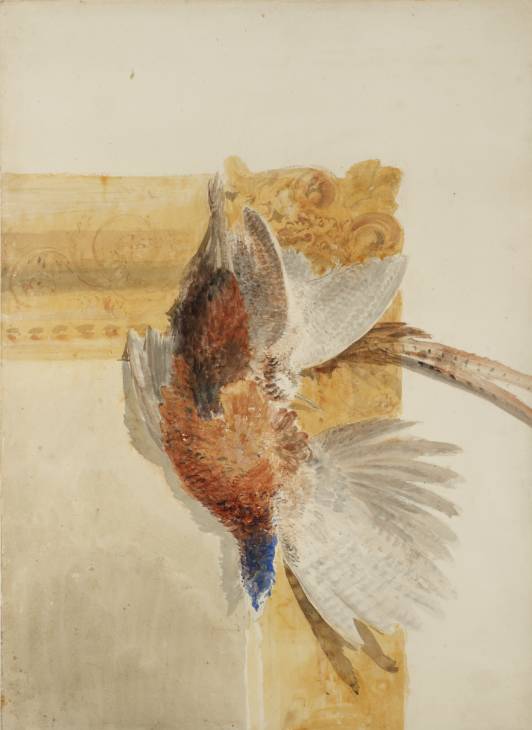 Joseph Mallord William Turner, ‘Study of a Dead Pheasant and Woodcock Hanging against a Picture Frame’ c.1820