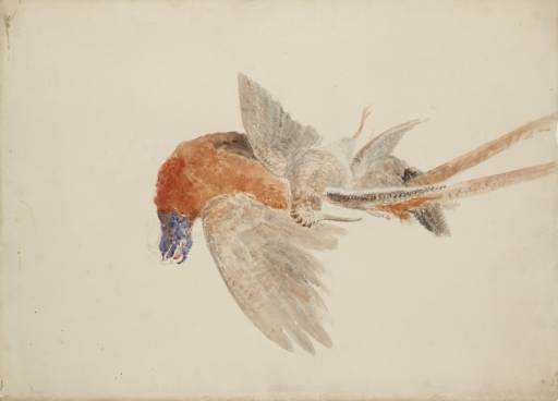 Joseph Mallord William Turner, ‘Study of a Dead Pheasant and Woodcock’ c.1820
