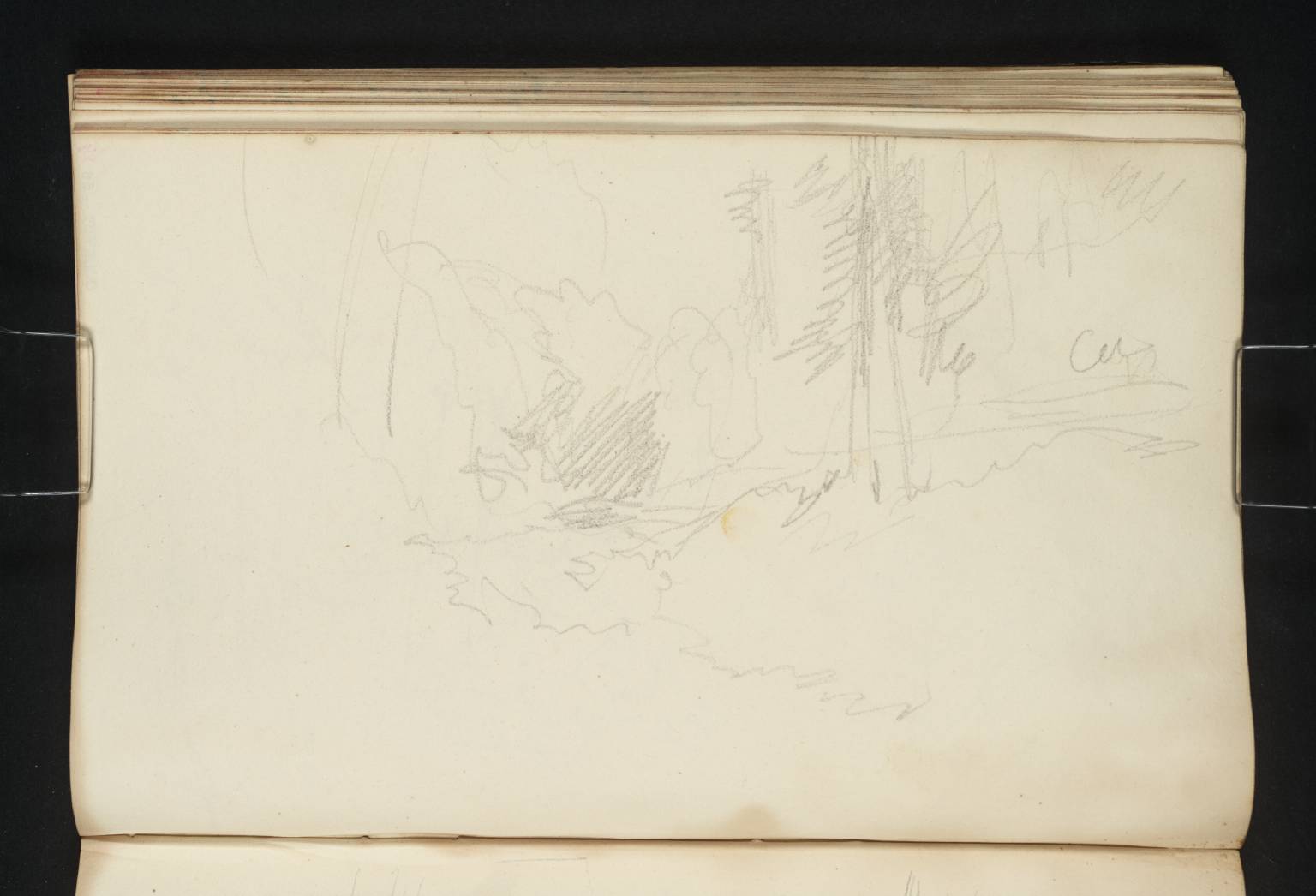 Rhymer’s Glen, Abbotsford