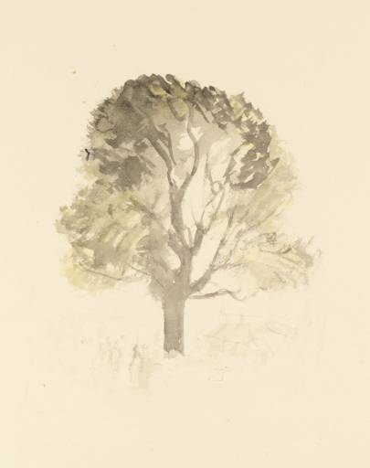 Joseph Mallord William Turner, ‘Study for 'An Old Oak', for Rogers's 'Poems'’ c.1830-2