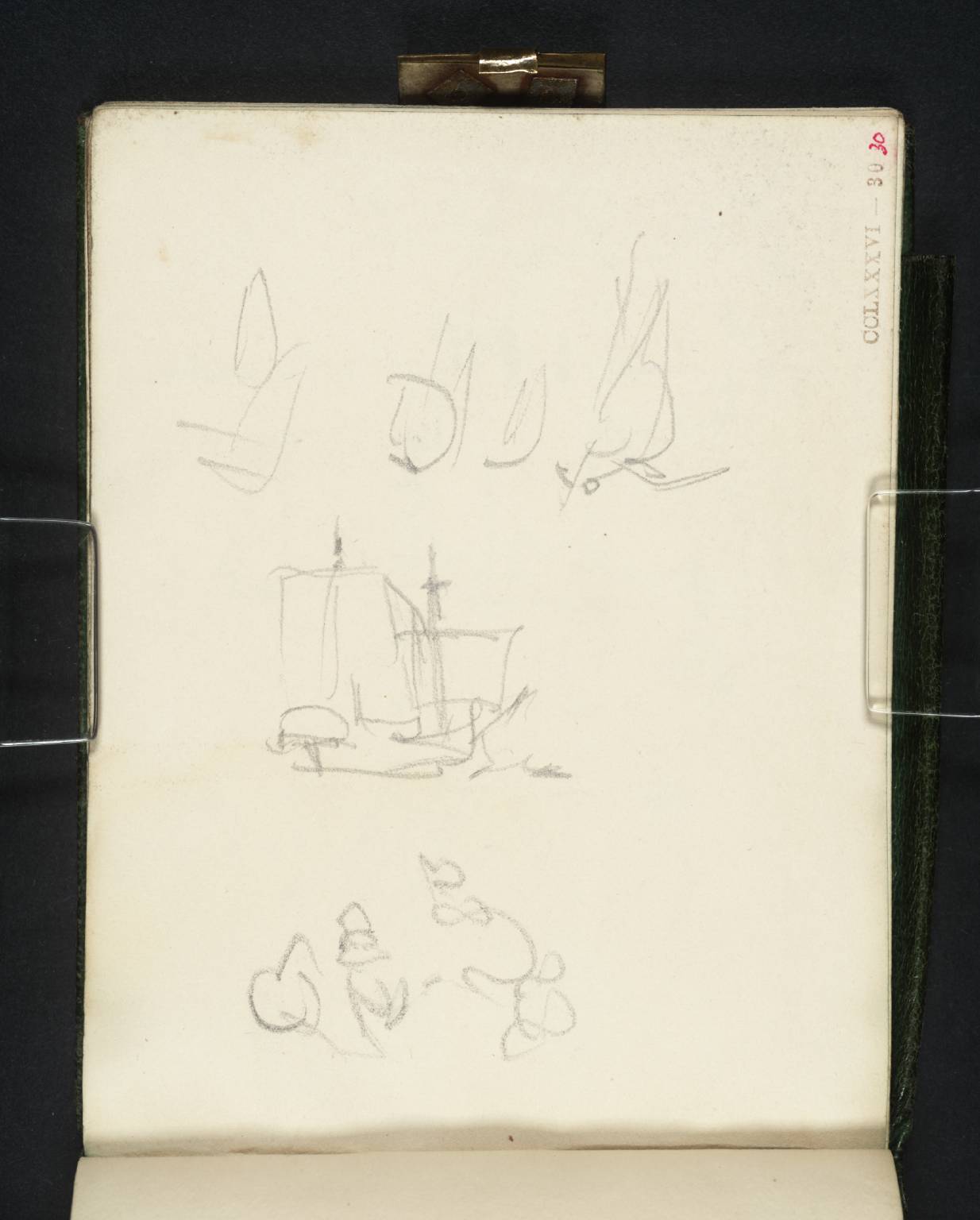 Sailing Boats