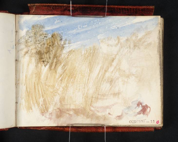 Joseph Mallord William Turner, ‘?A River, with Rushes’ c.1834-6