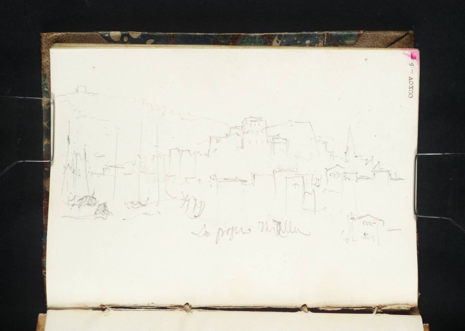 Genoa