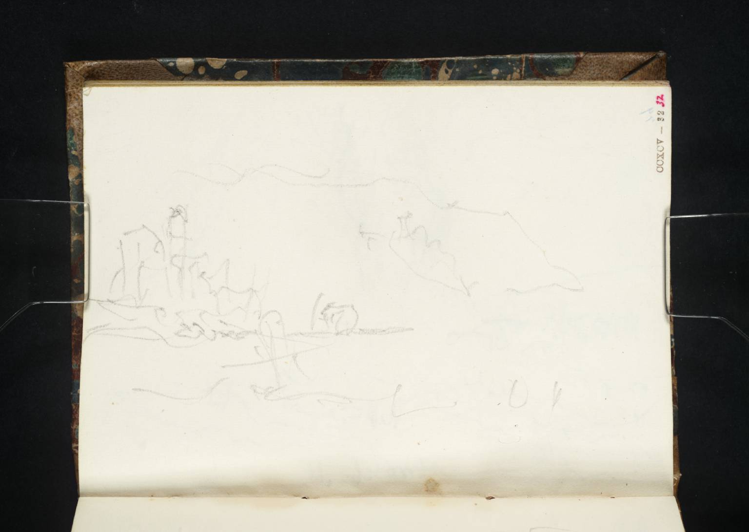 Coast Scene