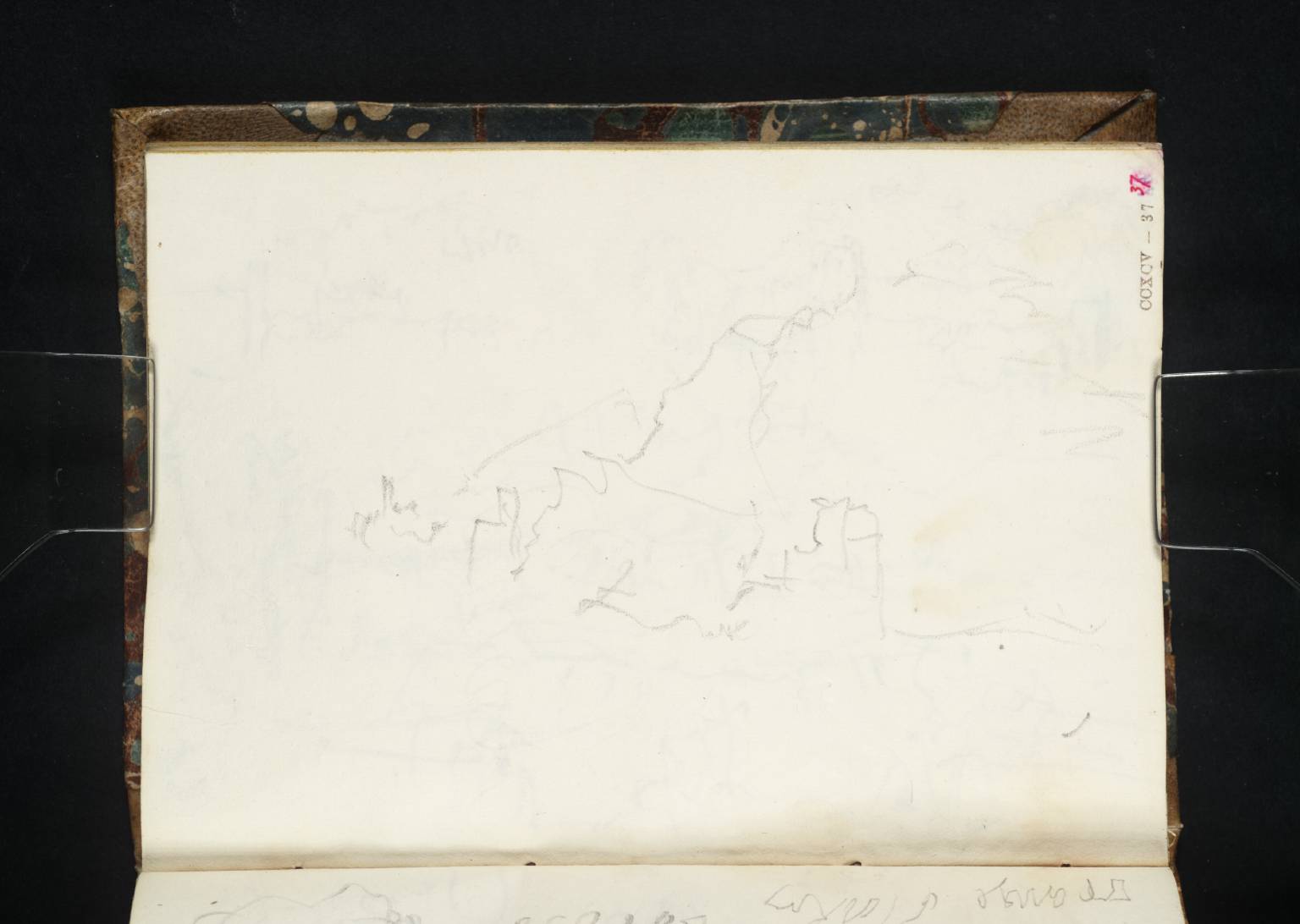 Coast Scene