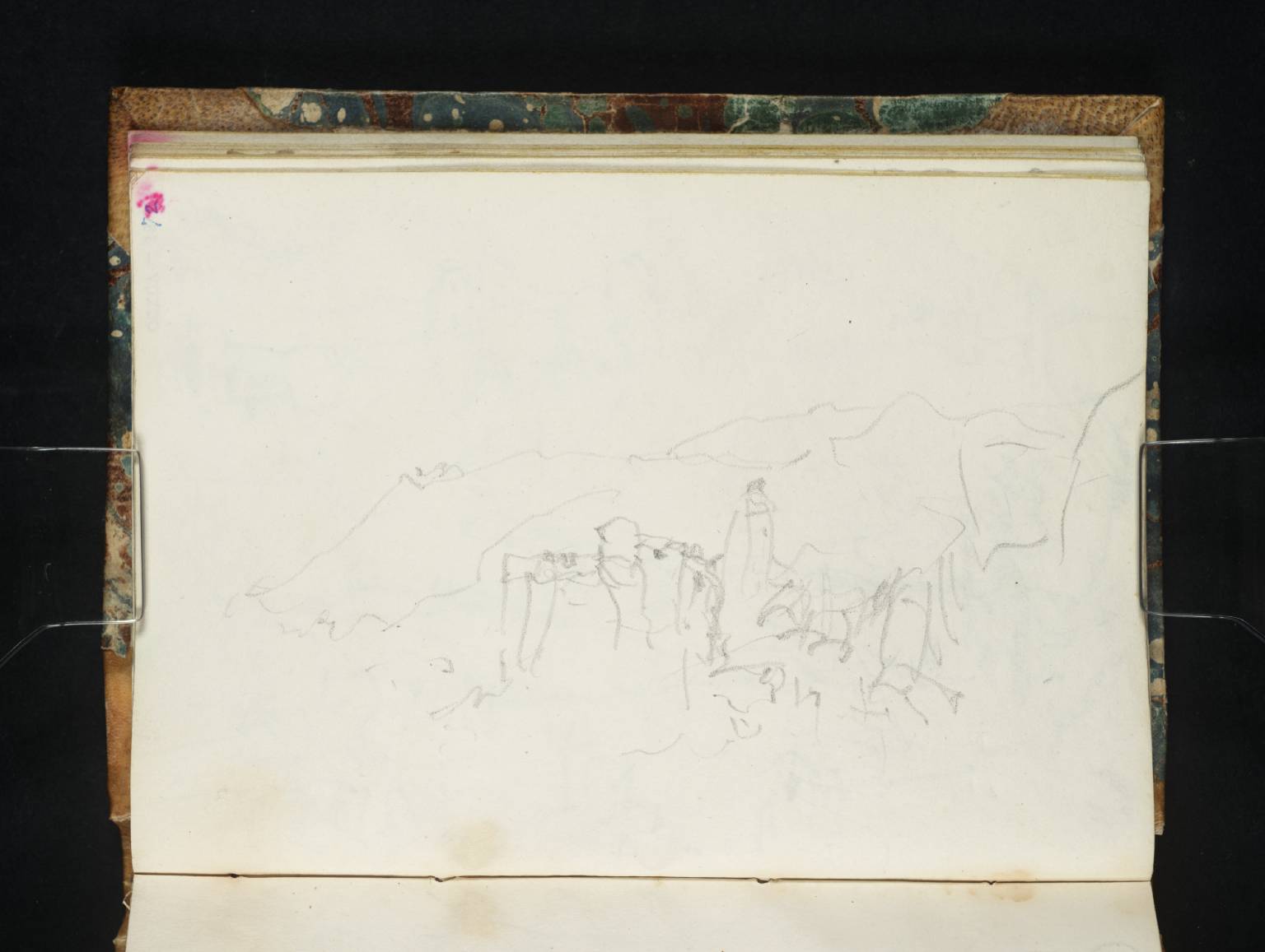 Coast Scene