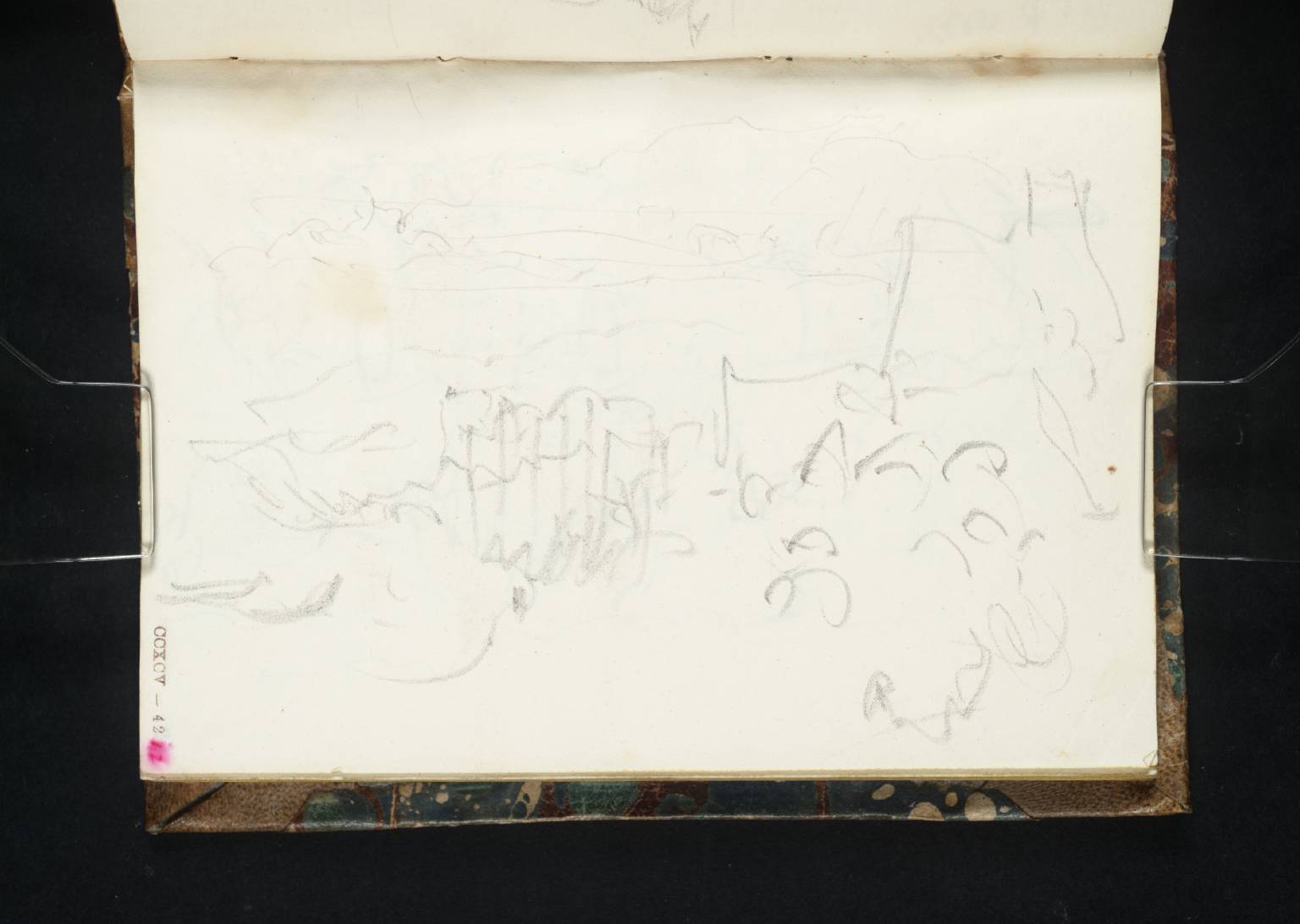 Coast Scene