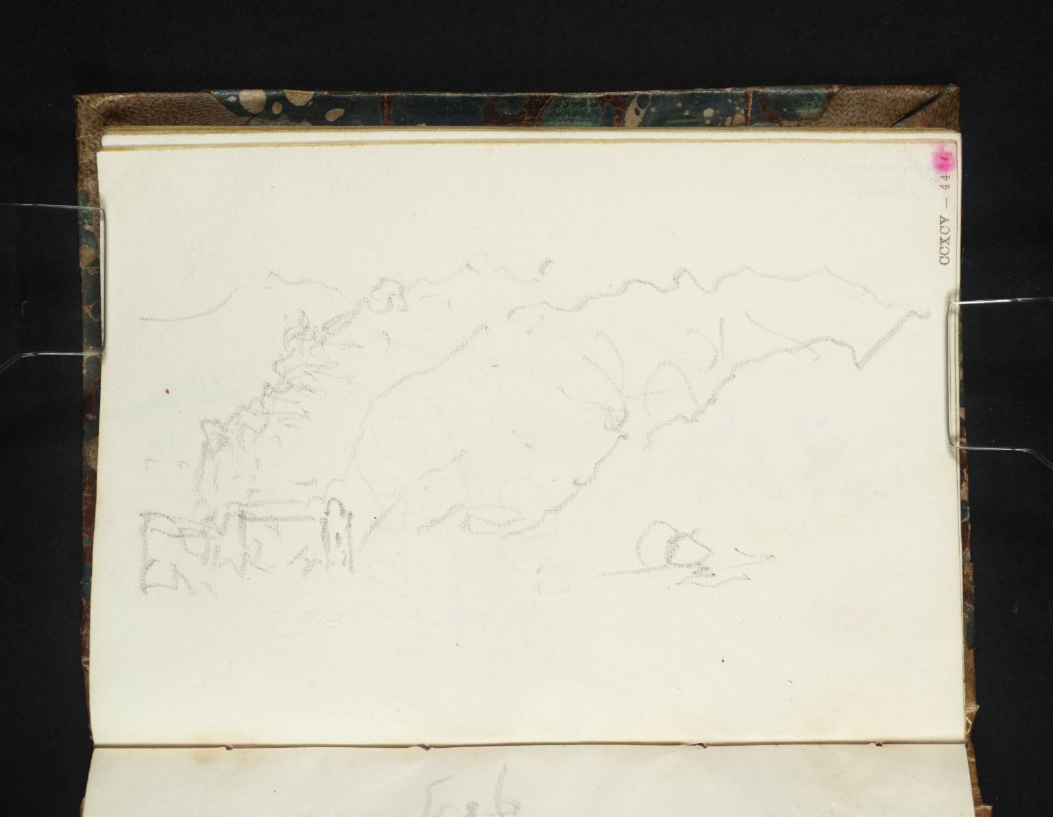 Coast Scene