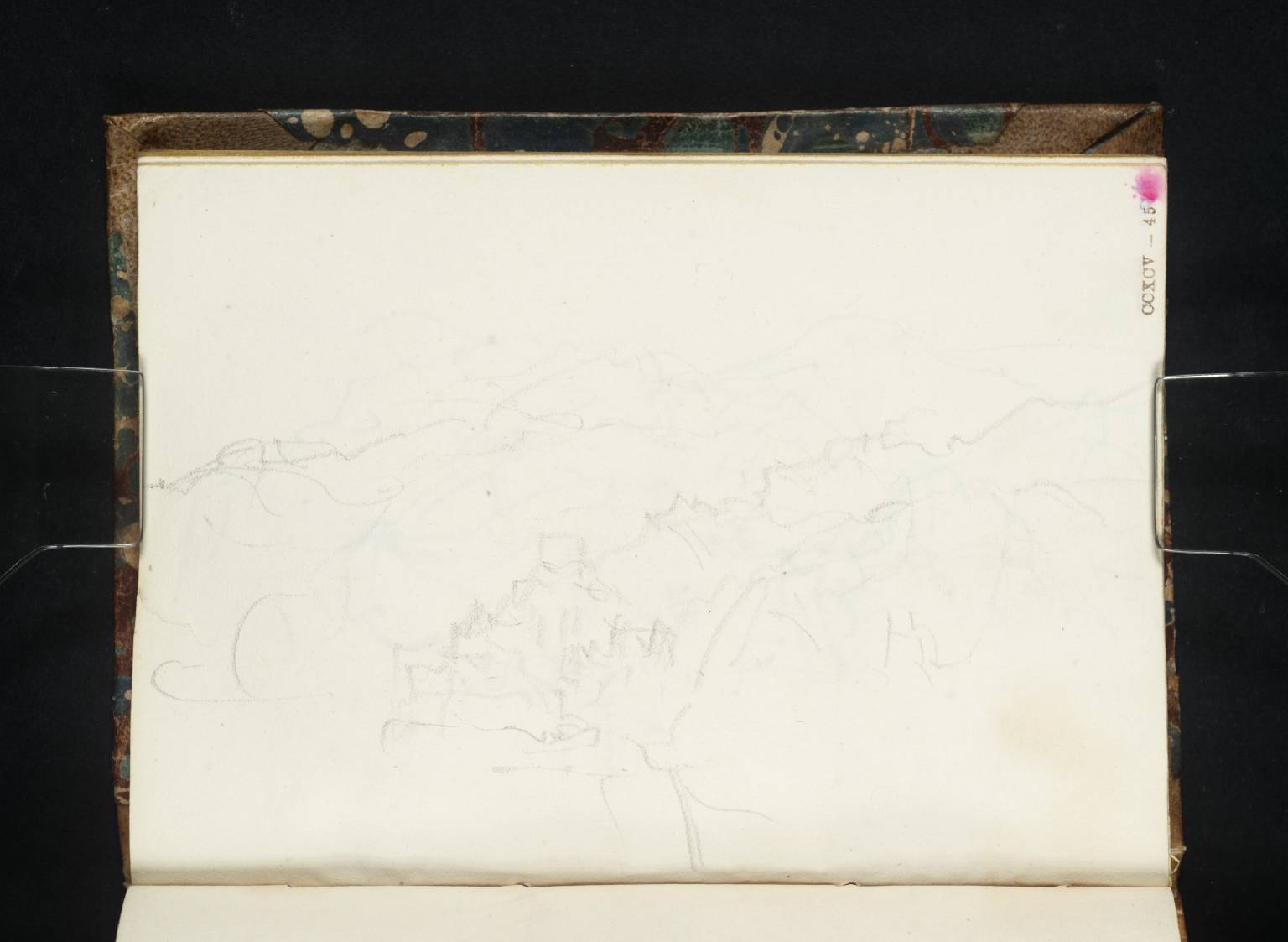 Coast Scene