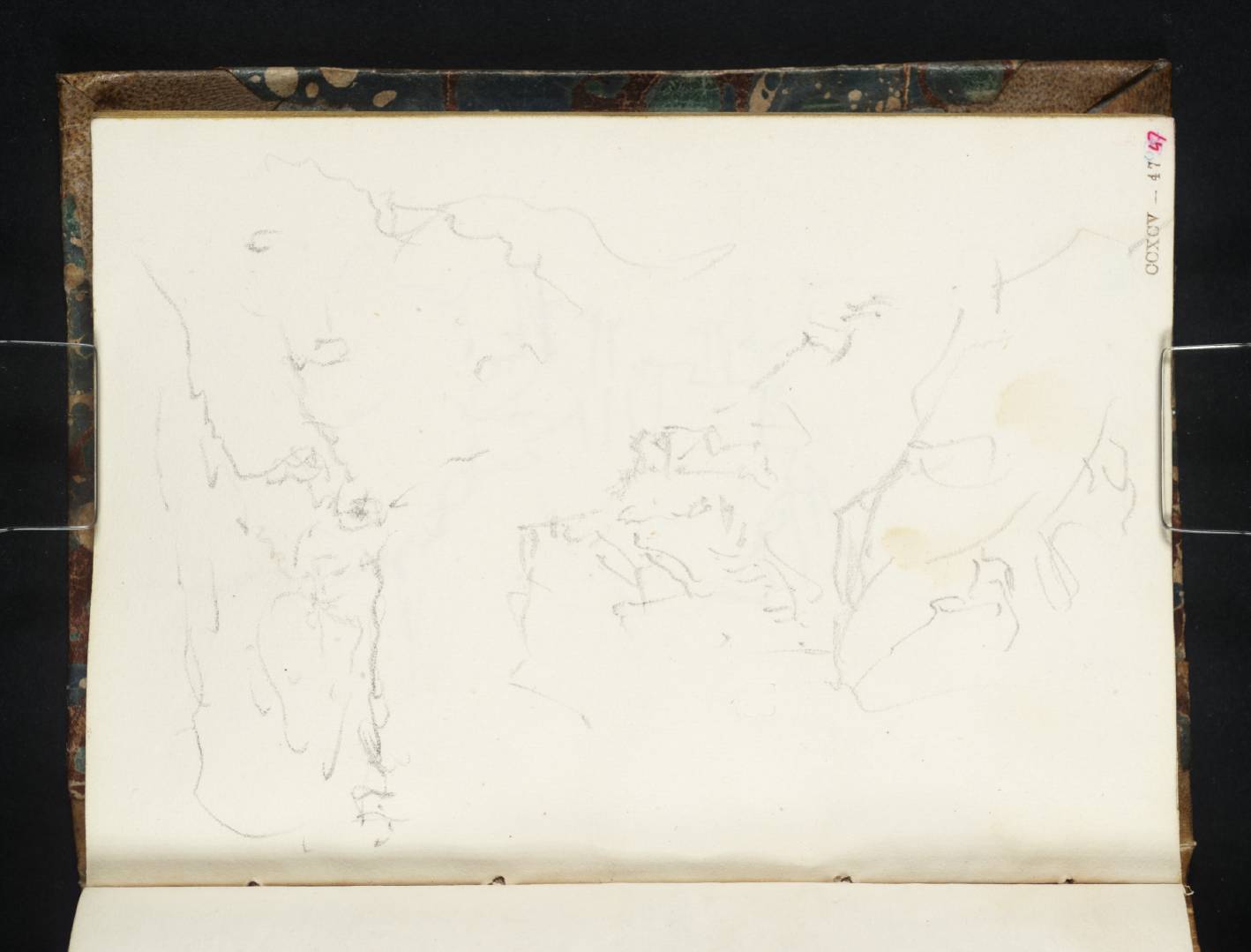 Coast Scene