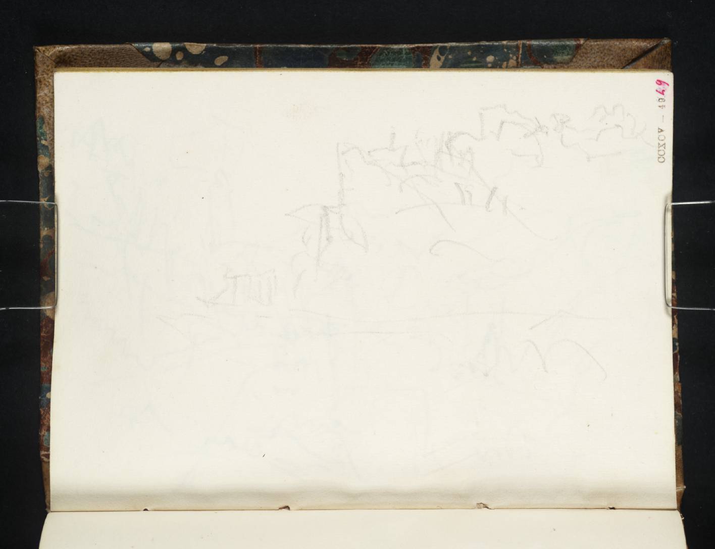Coast Scene