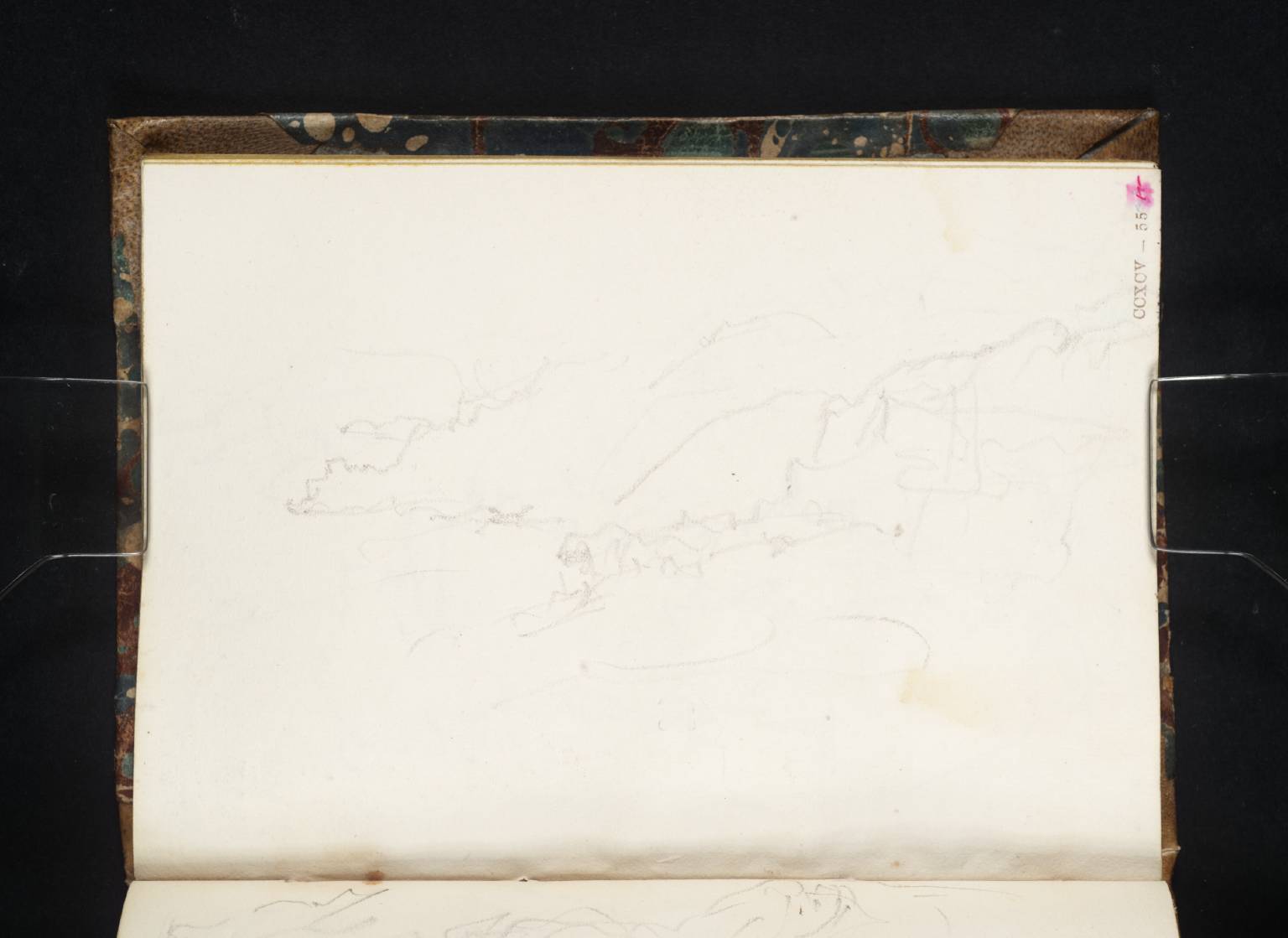 Coast Scene