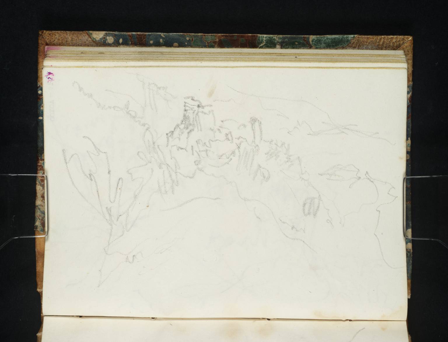 Coast Scene