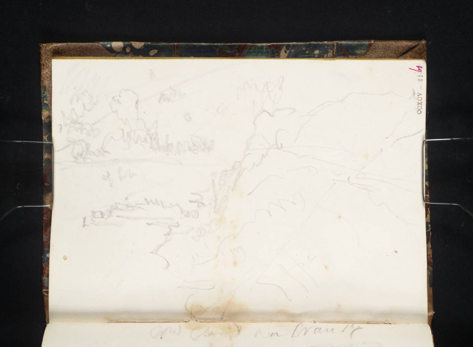 Coast Scene