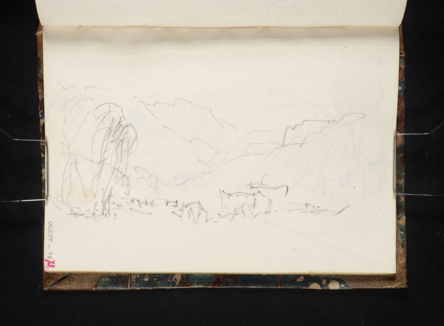 Coast Scene