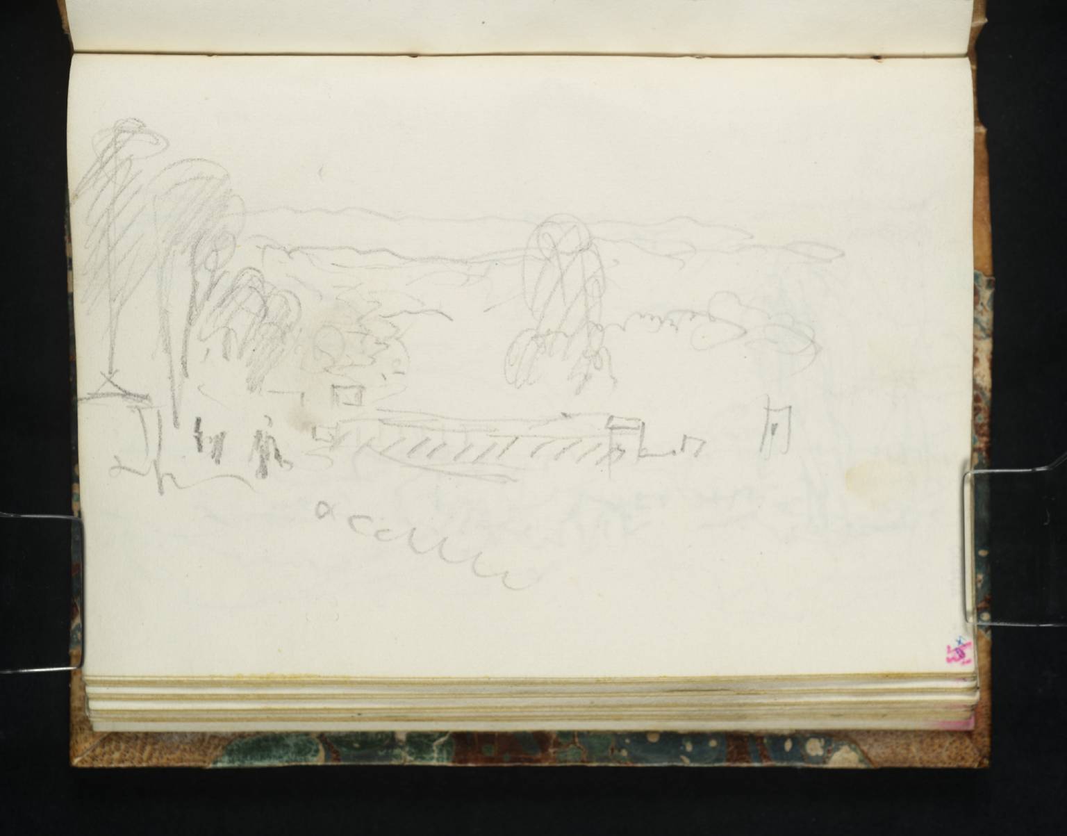 Coast Scene