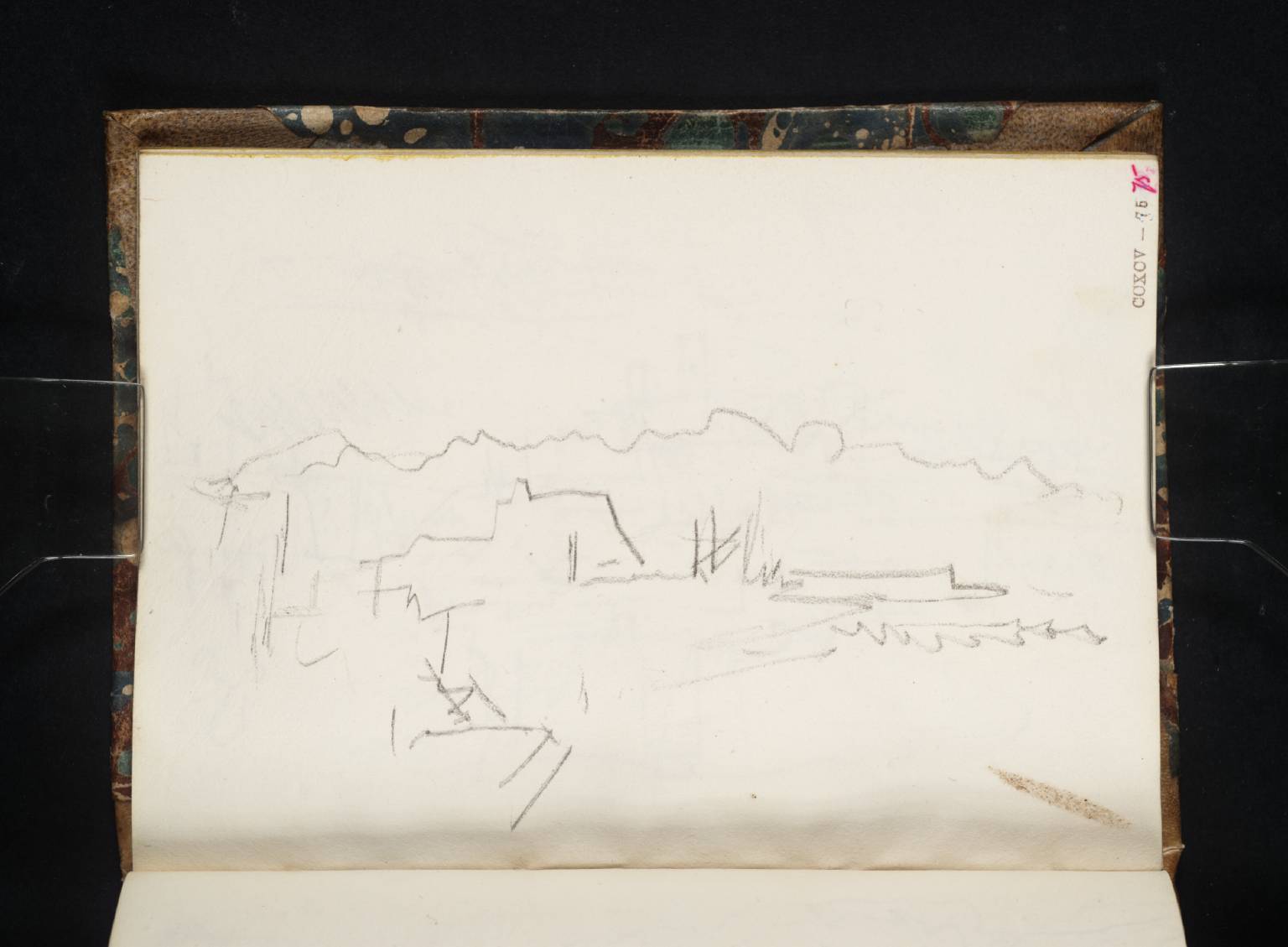 Coast Scene