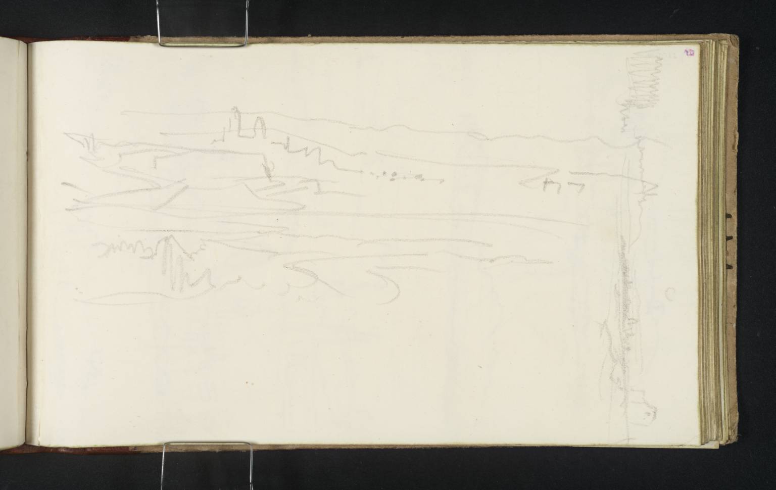 Distant Views of Mainz and the Rheingau