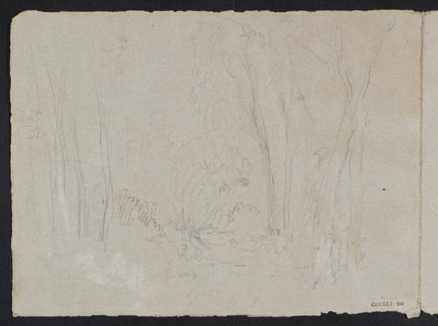 Road Bordered with Trees; Ruined Castle in Distance