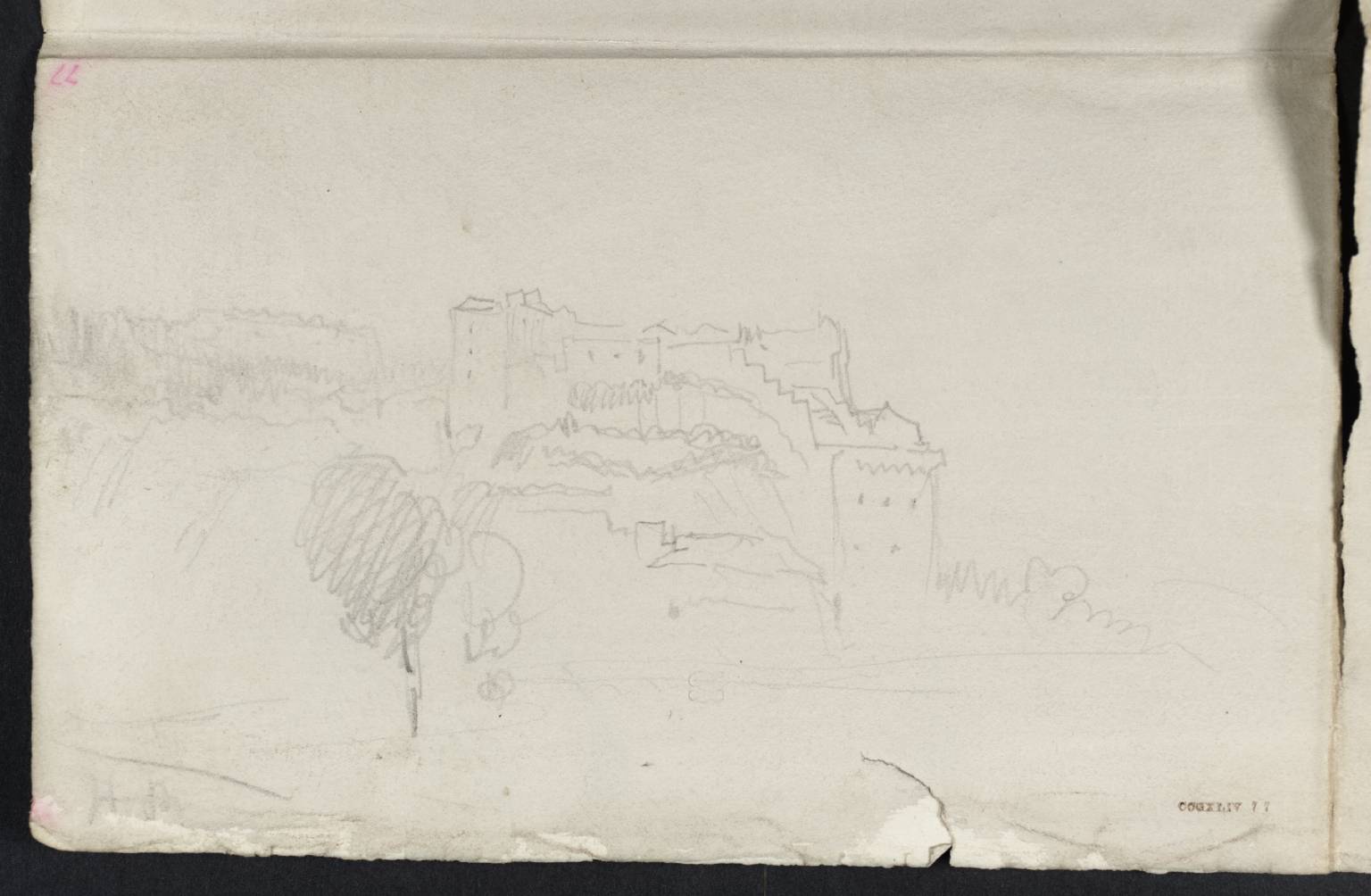 Castle on Hillside