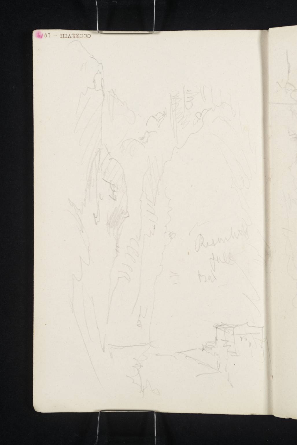 Reichenbach Falls [Turner]