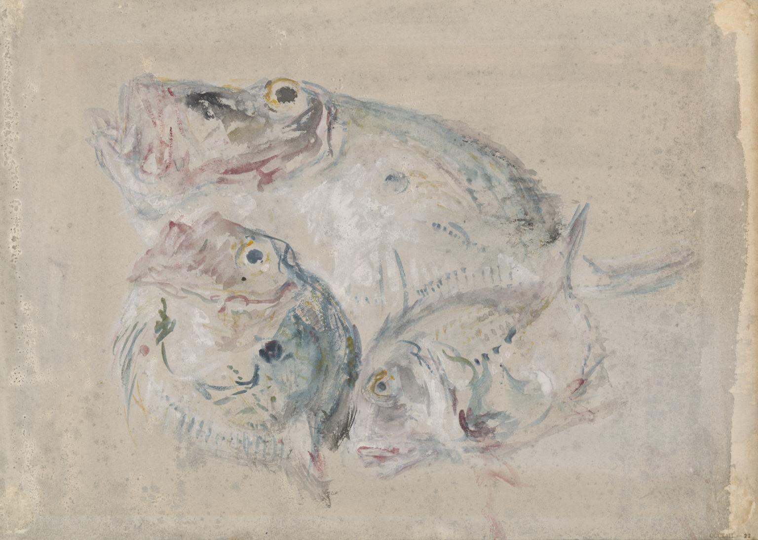 Study of Fish