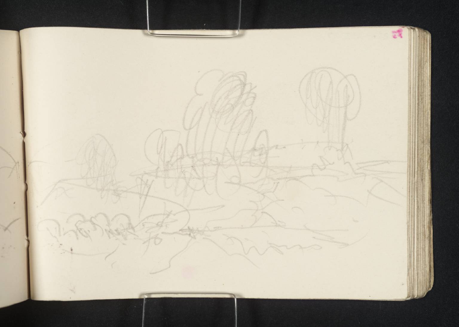 View, with Trees
