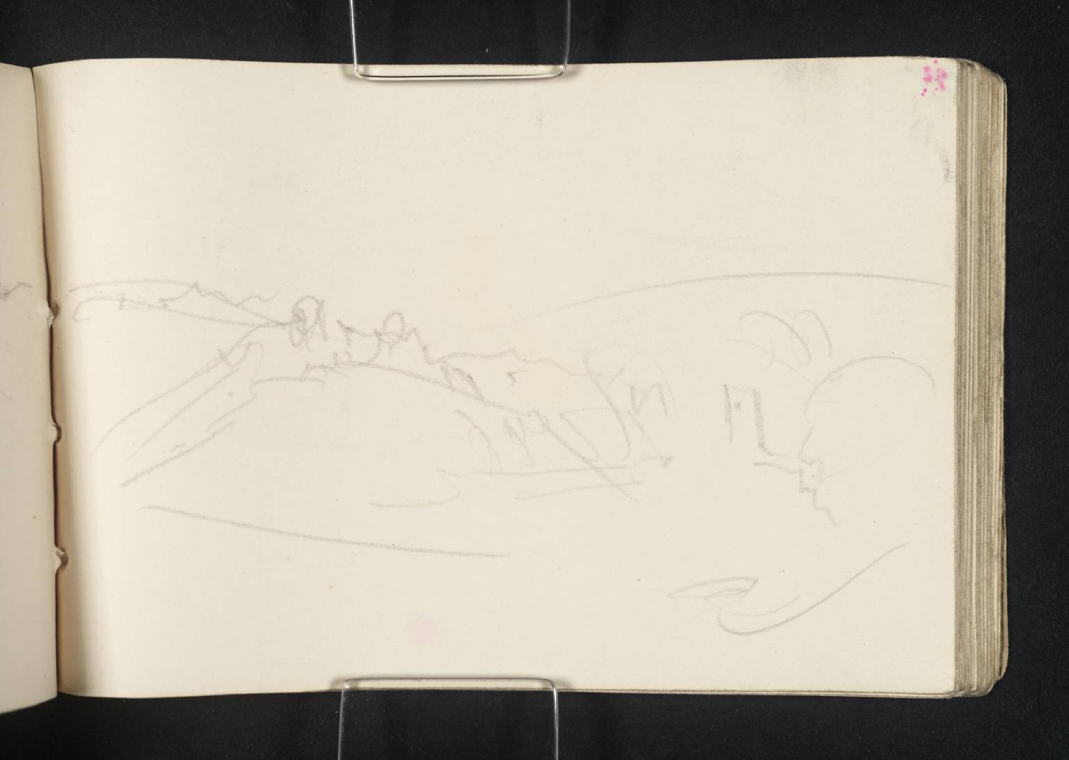 Cliffs, with Castle