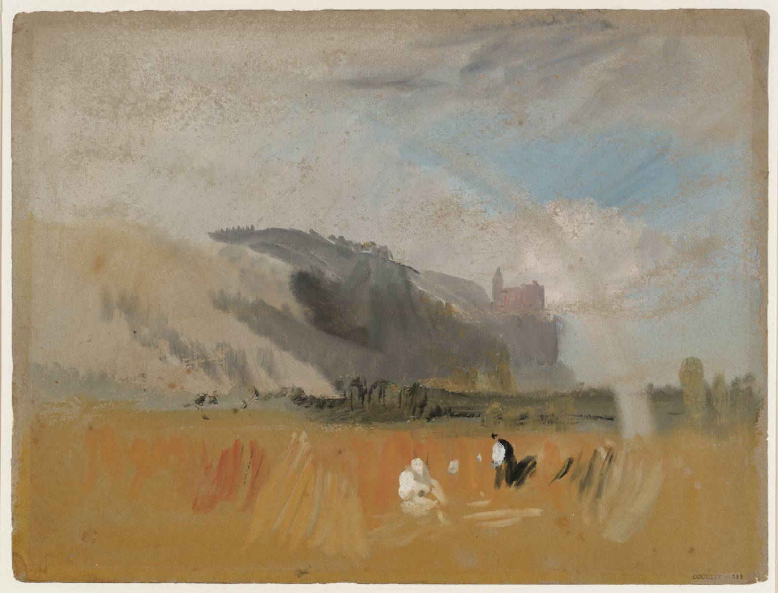 Cornfield and Rainbow