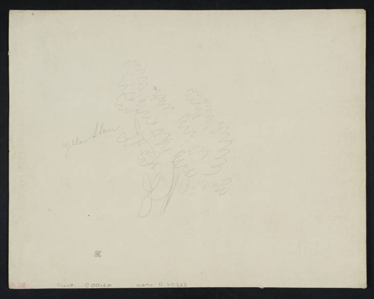 Joseph Mallord William Turner, ‘Foliage’ ?1792