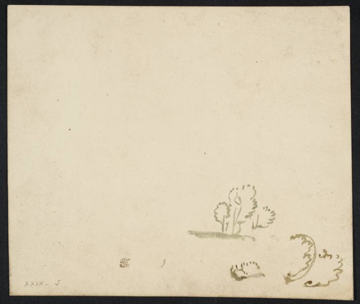 Joseph Mallord William Turner, ‘Outline Studies of Foliage Forms’ 1798