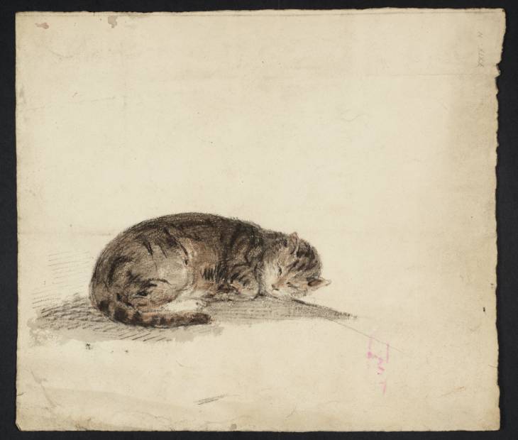 Joseph Mallord William Turner, ‘Study of a Sleeping Cat’ c.1796-7