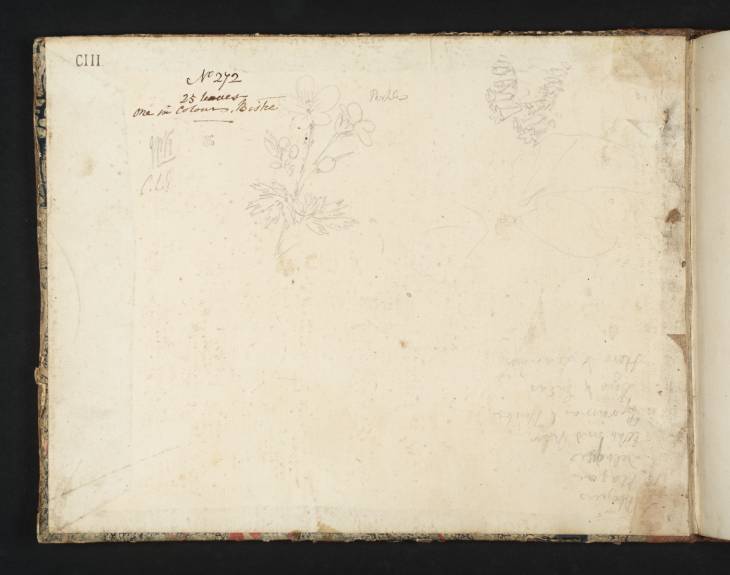Joseph Mallord William Turner, ‘Studies of Plants, and List of Historical Subjects (Inscription by Turner)’ c.1808 (Inside back cover of sketchbook)