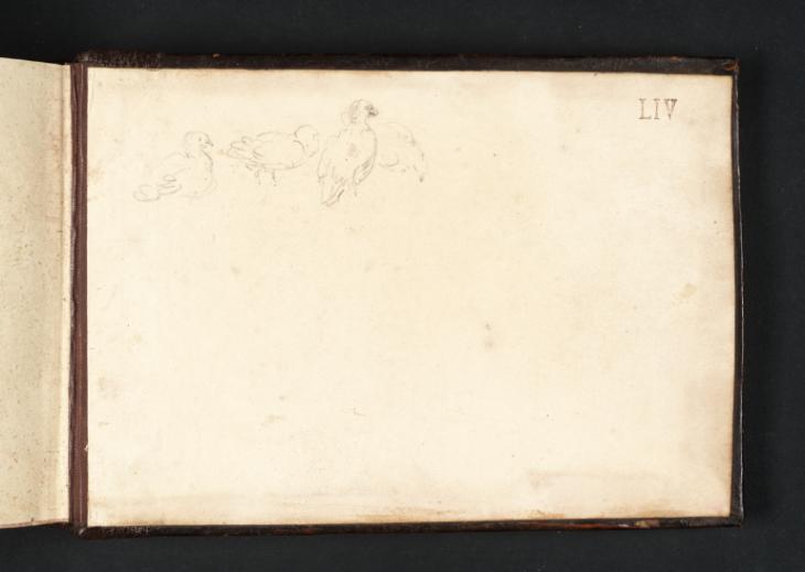 Joseph Mallord William Turner, ‘Four Pigeons’ 1801 (Inside back cover of sketchbook)