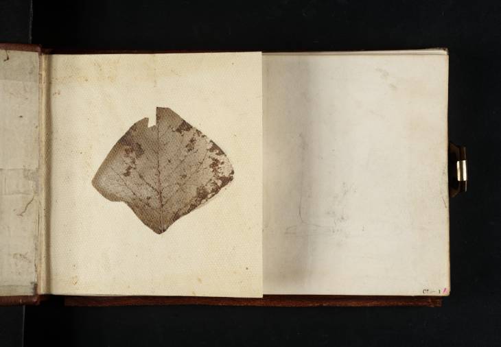 Joseph Mallord William Turner, ‘A Dried Skeleton of a Leaf’ 1806-8