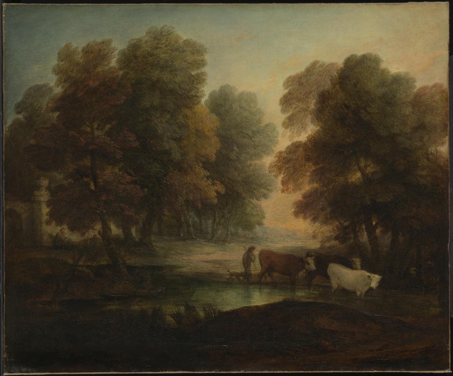 Boy Driving Cows near a Pool