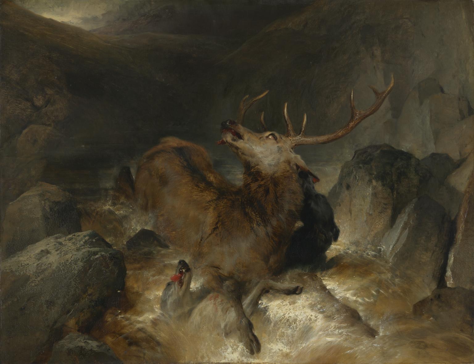 N00412: Deer and Deer Hounds in a Mountain Torrent (‘The Hunted Stag’)