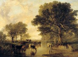 Cattle