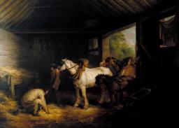 Horses