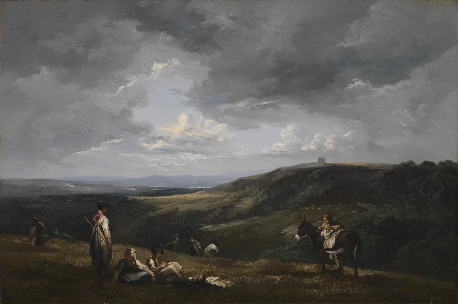 Getting in Clover: Noon