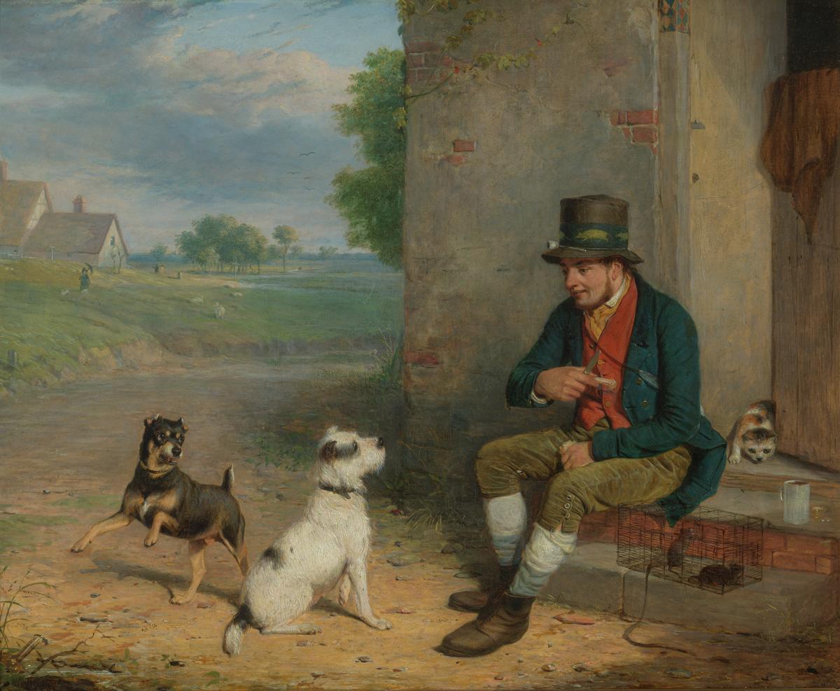 N01379: The Rat-Catcher and his Dogs