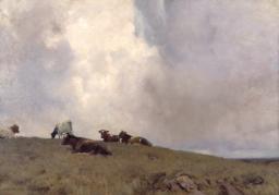 Cattle