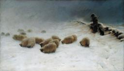 Shepherd