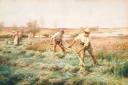 Alfred Glendening, ‘Haymaking’ 1898